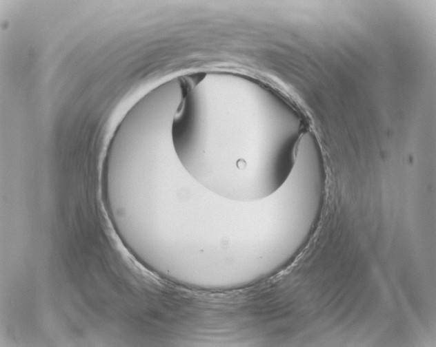 X0000052631520200507221737