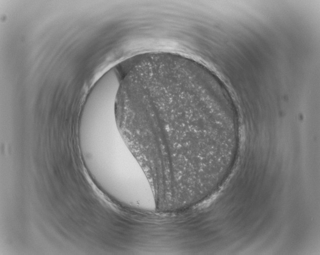 X0000052631521200507221737