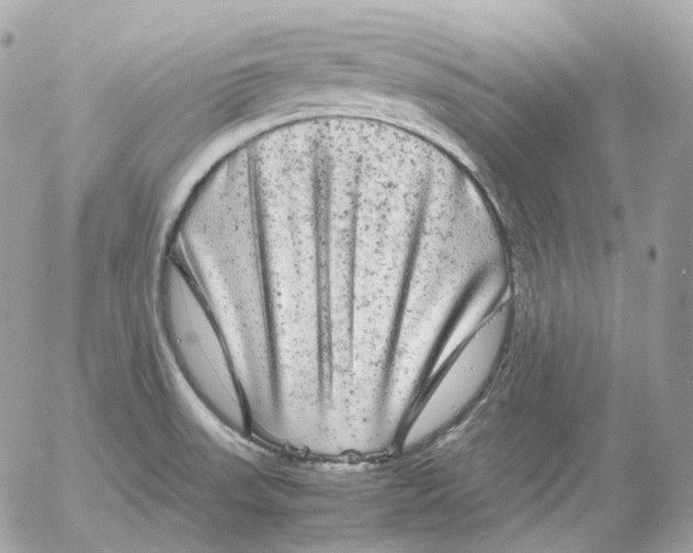 X0000052631523200507221737