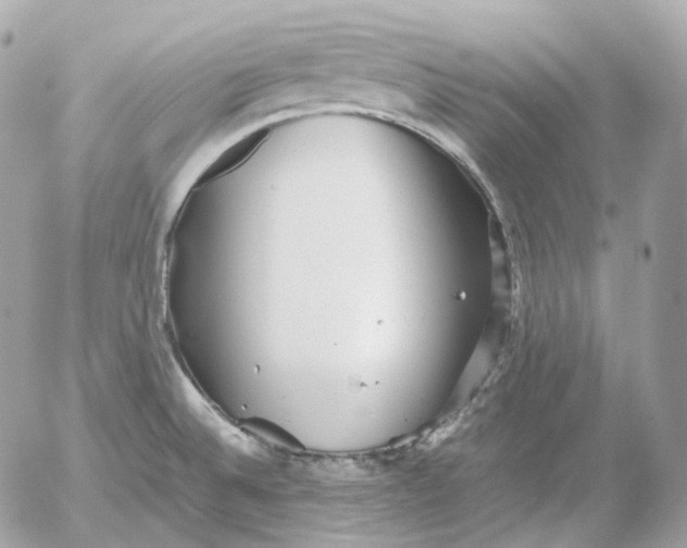 X0000052631524200507221737