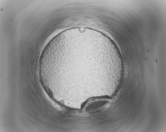 X0000052631525200507221737