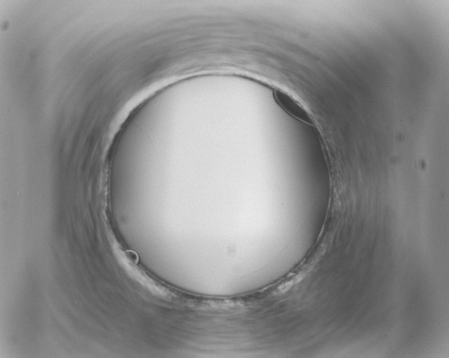 X0000052631526200507221737