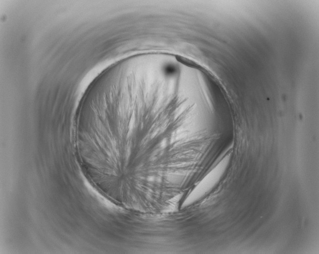 X0000052631527200507221737