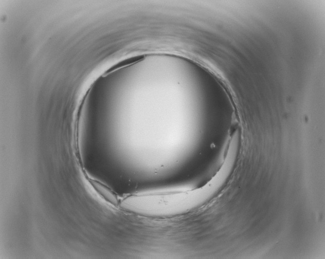 X0000052631528200507221737