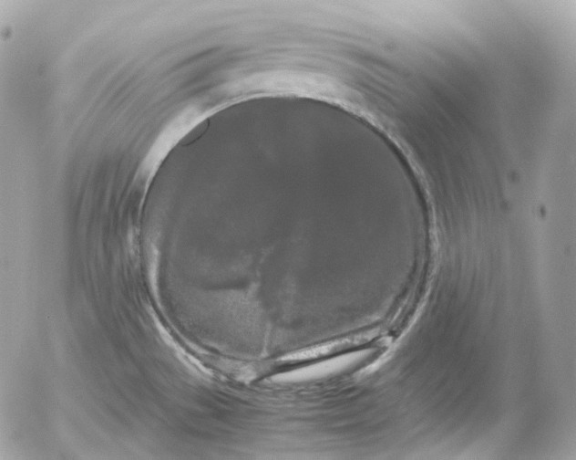 X0000052631529200507221737