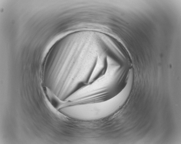 X0000052631531200507221737