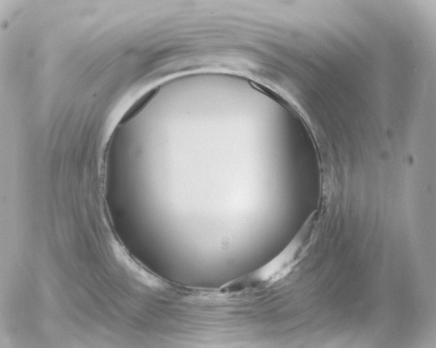 X0000052631532200507221737