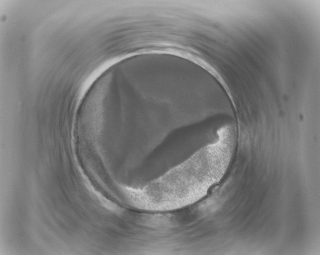 X0000052631533200507221737