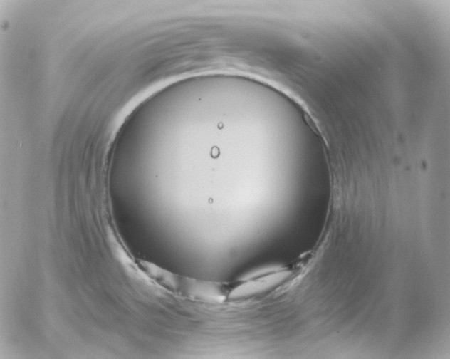 X0000052631534200507221737