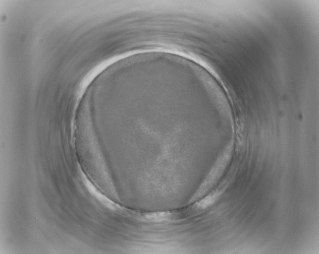 X0000052631535200507221737