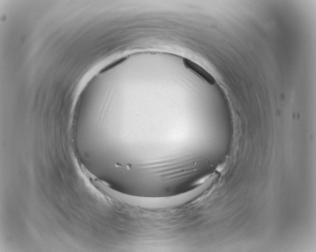 X0000052631536200507221737