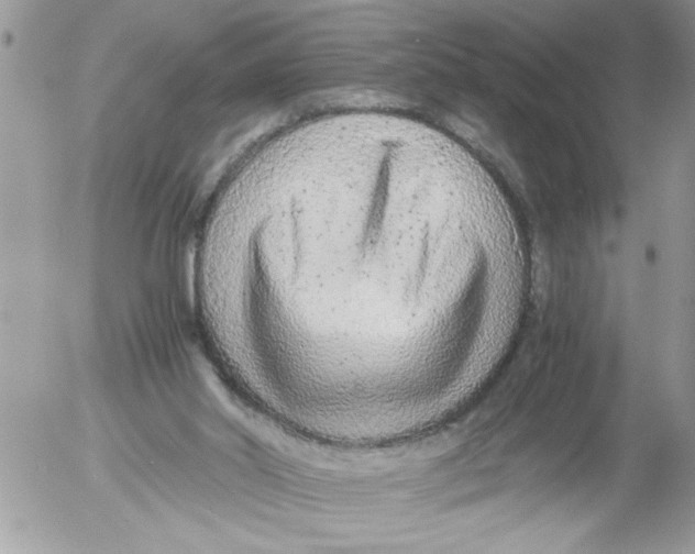 X0000052630014200507292251