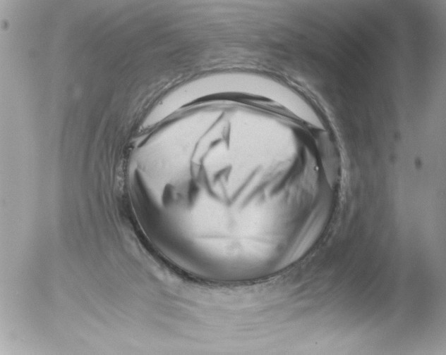 X0000052630017200507292251