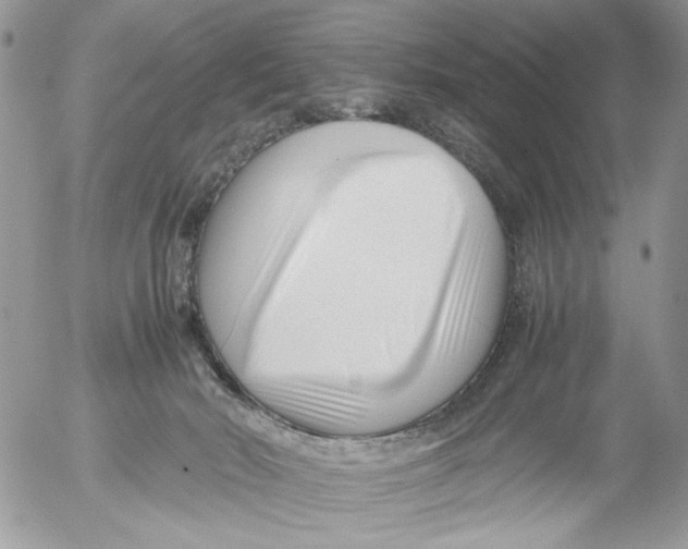 X0000052630030200507292251