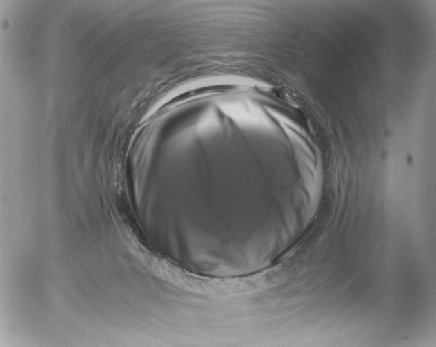 X0000052630031200507292251
