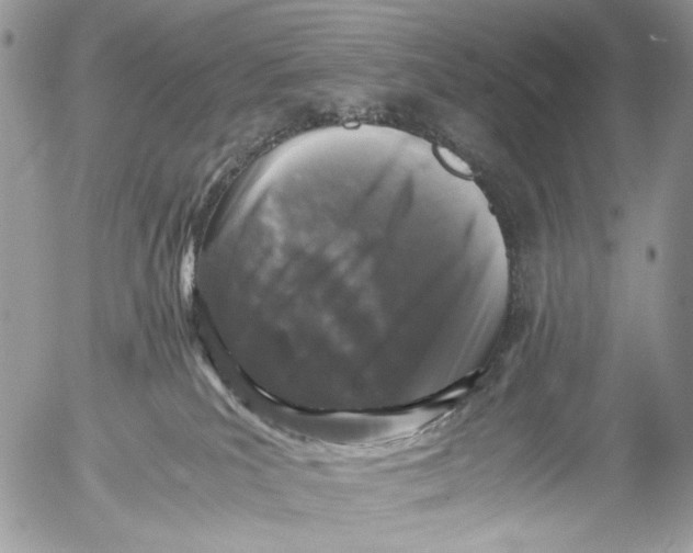 X0000052630039200507292251