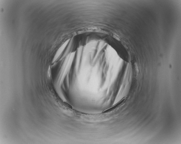 X0000052630041200507292251