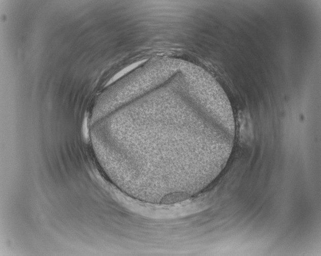 X0000052630042200507292251