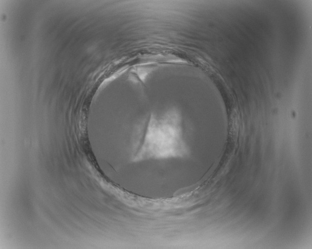 X0000052630043200507292251