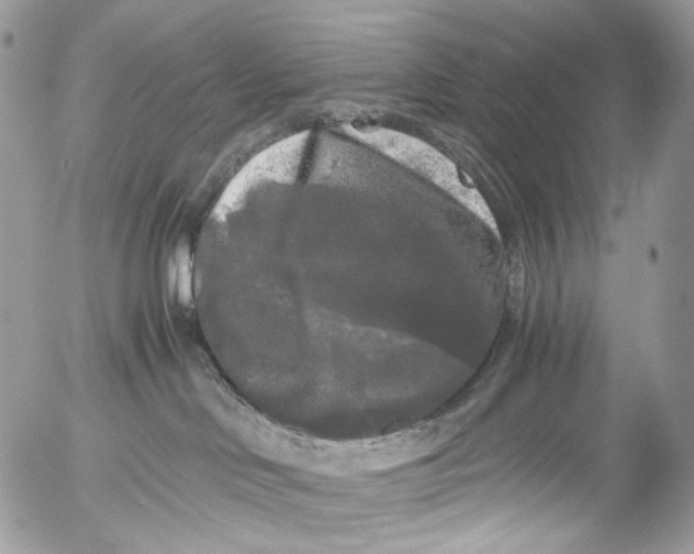 X0000052630046200507292251
