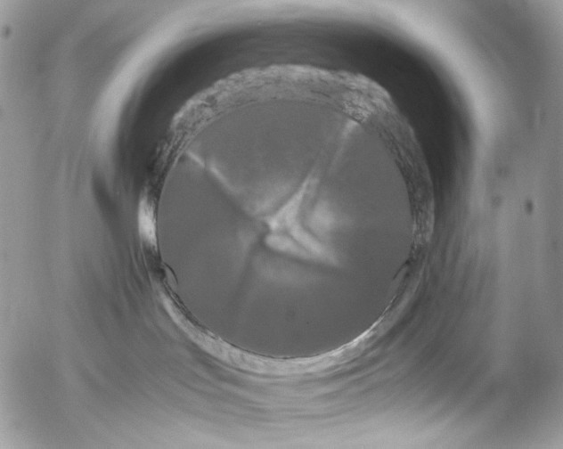 X0000052630047200507292251