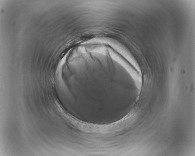 X0000052630048200507292251