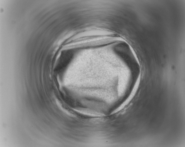 X0000052630050200507292250