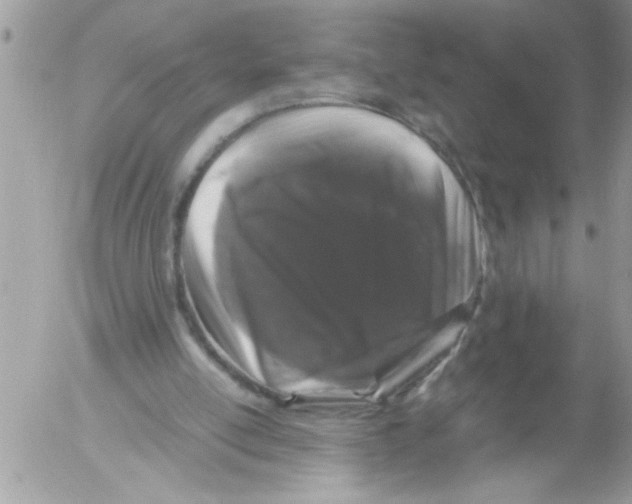 X0000052630054200507292250