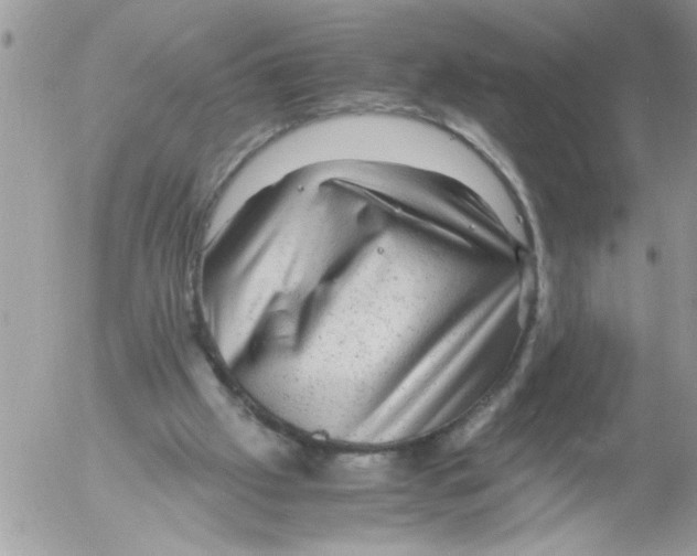 X0000052630057200507292250