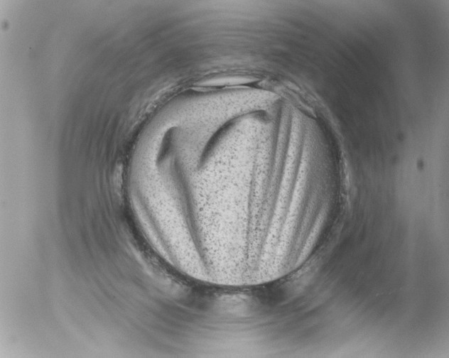 X0000052630066200507292250