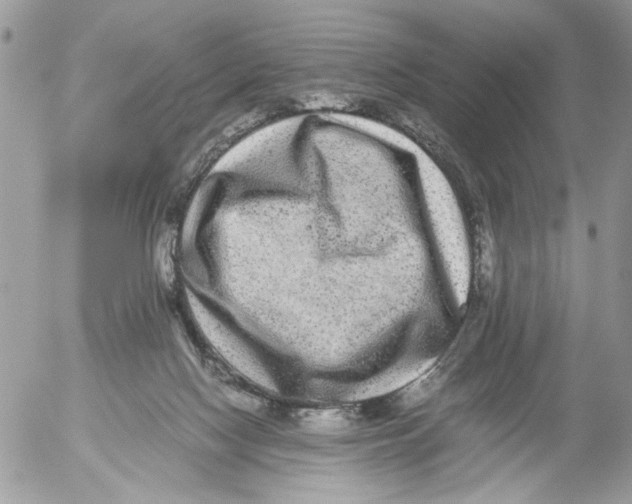 X0000052630074200507292250