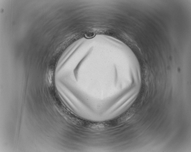 X0000052630075200507292250