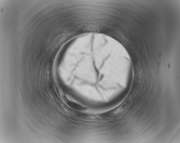 X0000052630080200507292251
