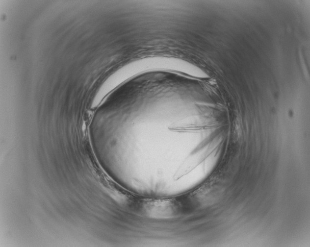 X0000052630081200507292251