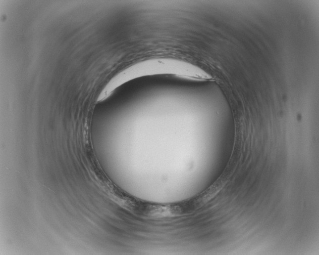 X0000052630083200507292251