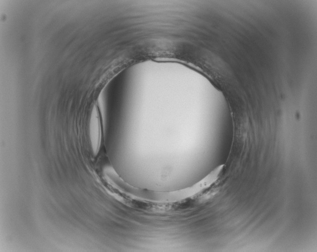 X0000052630084200507292251