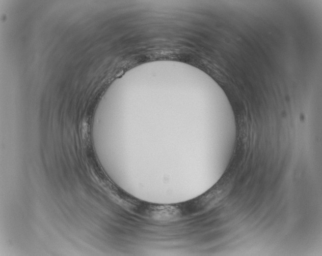 X0000052630087200507292251