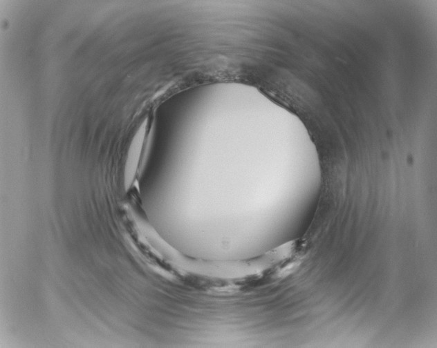 X0000052630088200507292251
