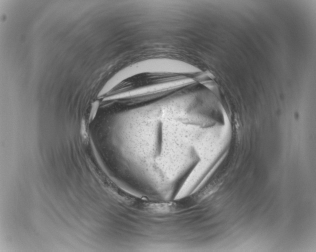 X0000052630089200507292251