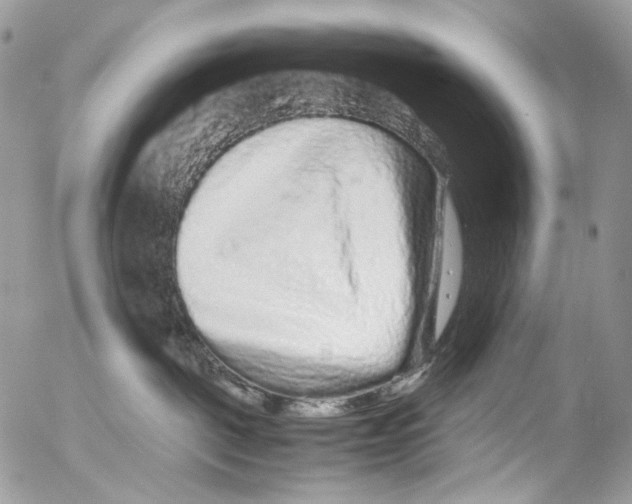 X0000052630093200507292251