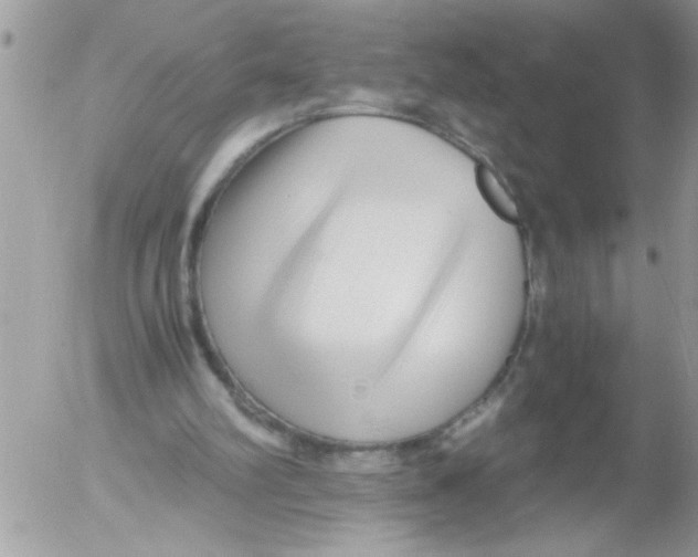 X0000052630102200507292250