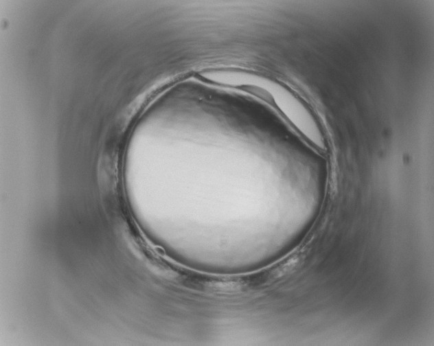 X0000052630107200507292250