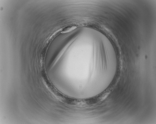 X0000052630113200507292250