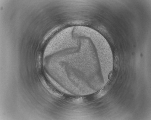 X0000052630116200507292250