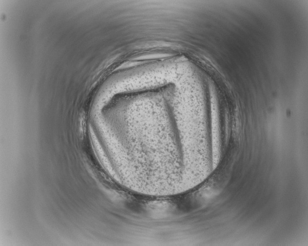 X0000052630119200507292250