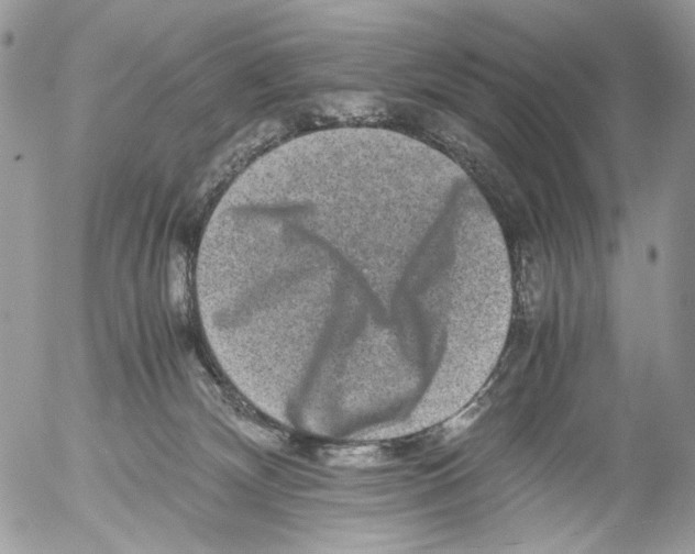X0000052630132200507292249