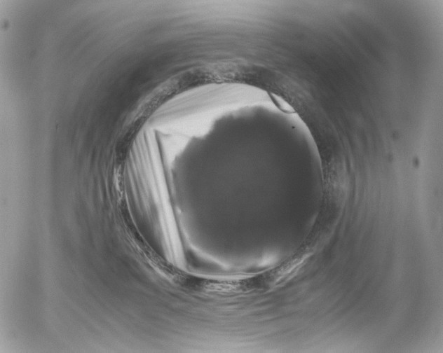 X0000052630139200507292249