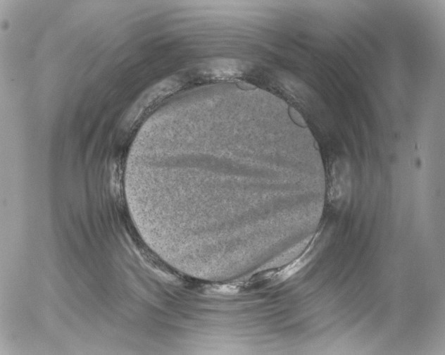 X0000052630140200507292249