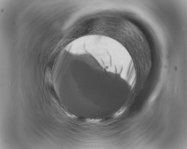 X0000052630143200507292249