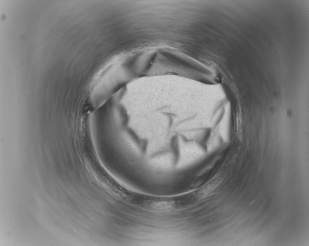 X0000052630156200507292249